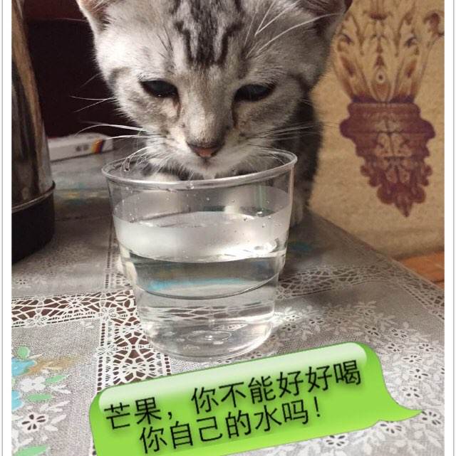 成都不动产证办理地址